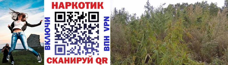 Купить закладку СК  Cocaine  АМФЕТАМИН  Гашиш  Меф мяу мяу  Чулым