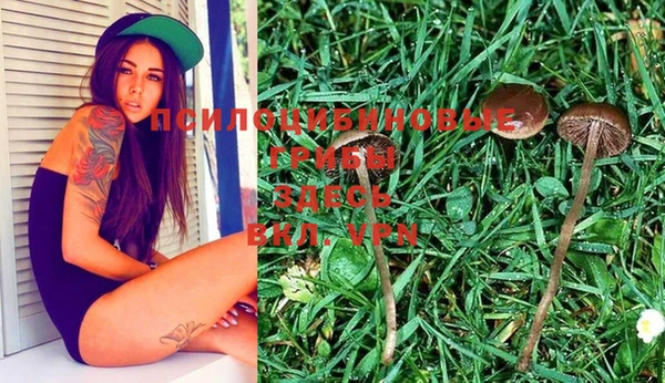 дмт Ханты-Мансийск